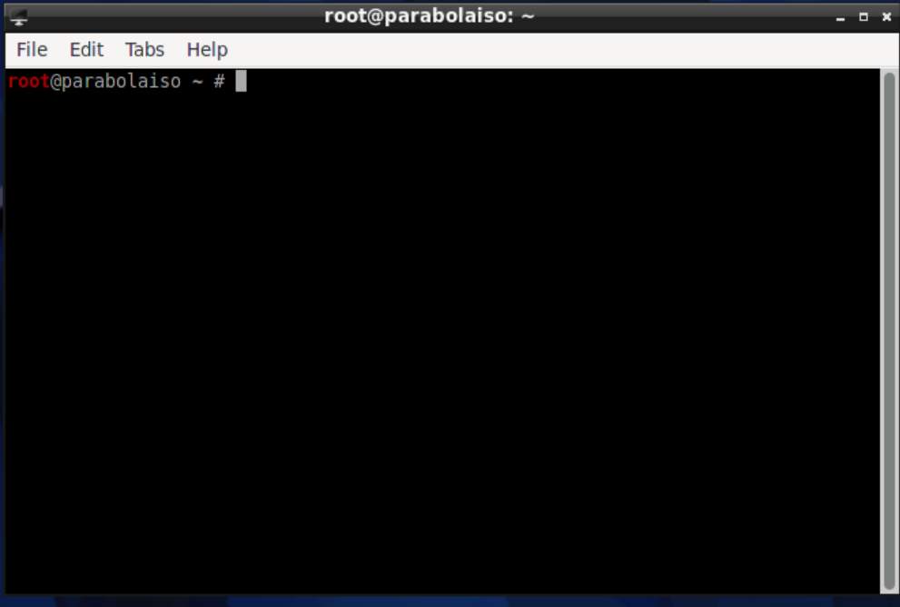 initial prompt of lxterminal